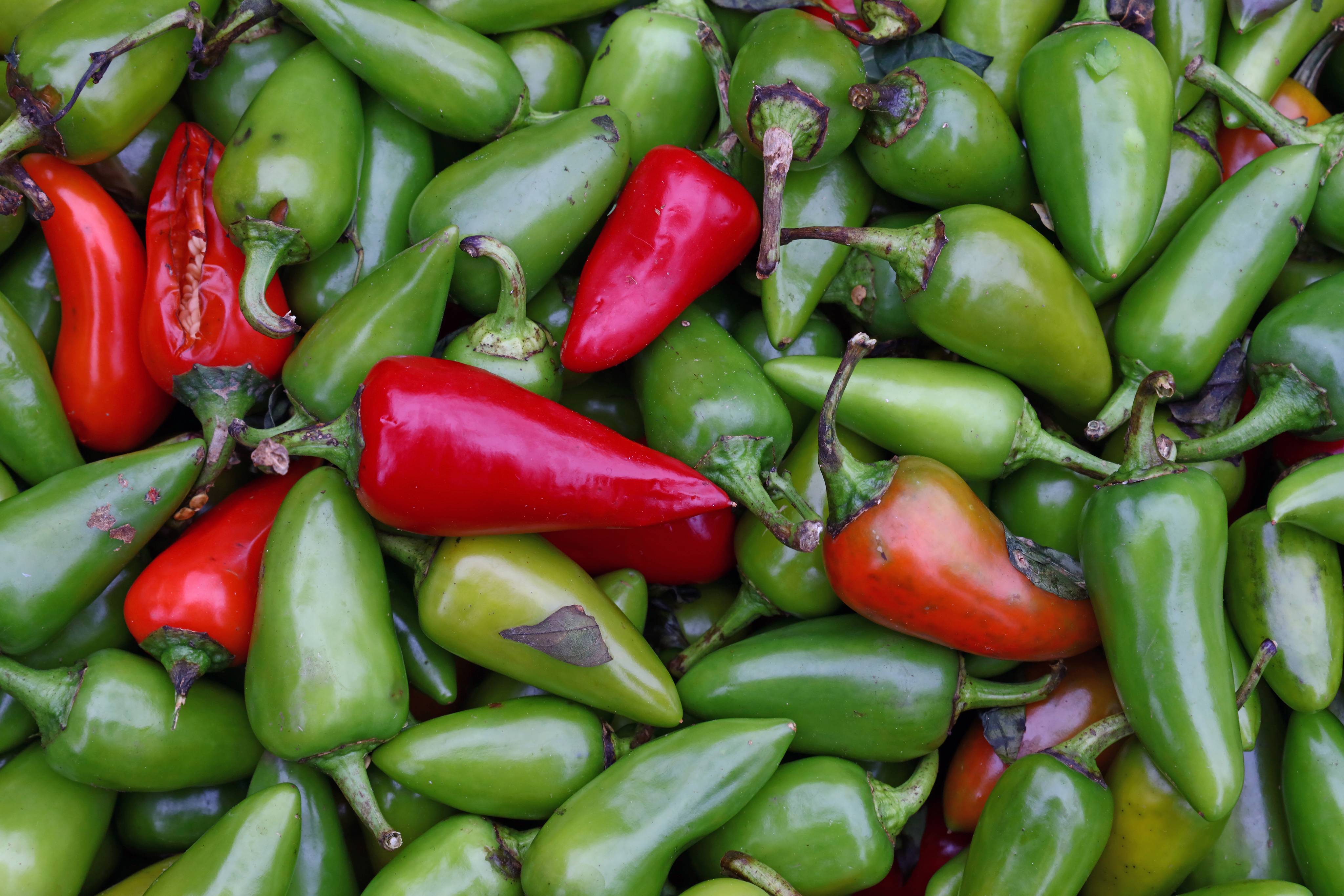 Hot Jalapeno Peppers 594107