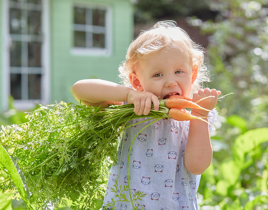 Biting The Harvested Carrots 1143281 Small LOW