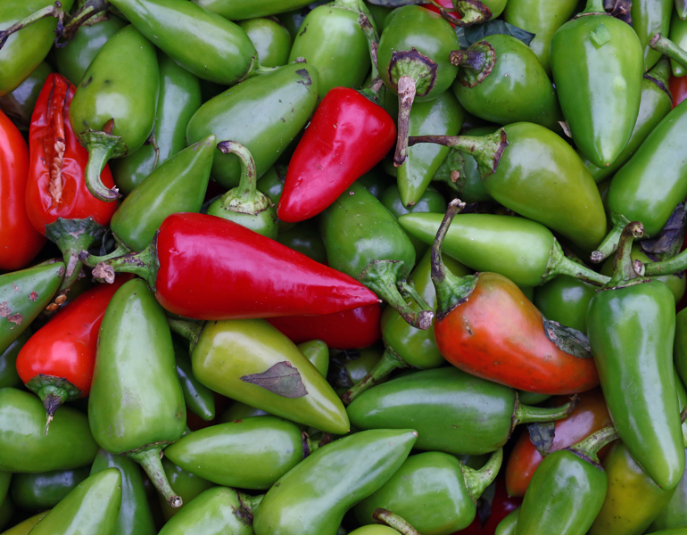 Hot Jalapeno Peppers 594107